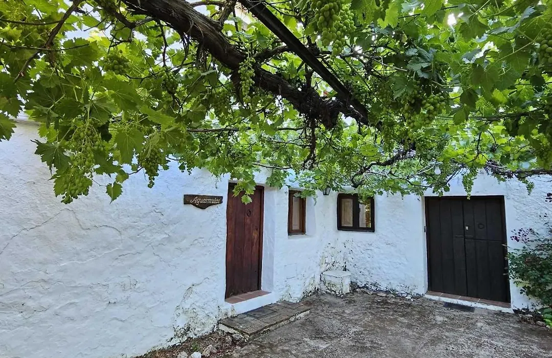 Cortijo del Cura By Travel Home-1